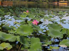 -承德避暑山庄景区
