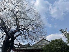 -长春观