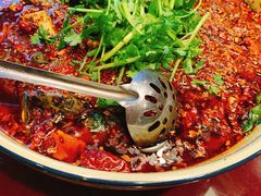 红汤黄辣丁-胖大姐黄辣丁鱼庄(新津店)