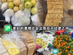 -中山市树木园
