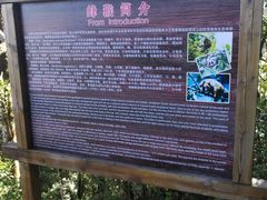 -云南屏边大围山国家公园