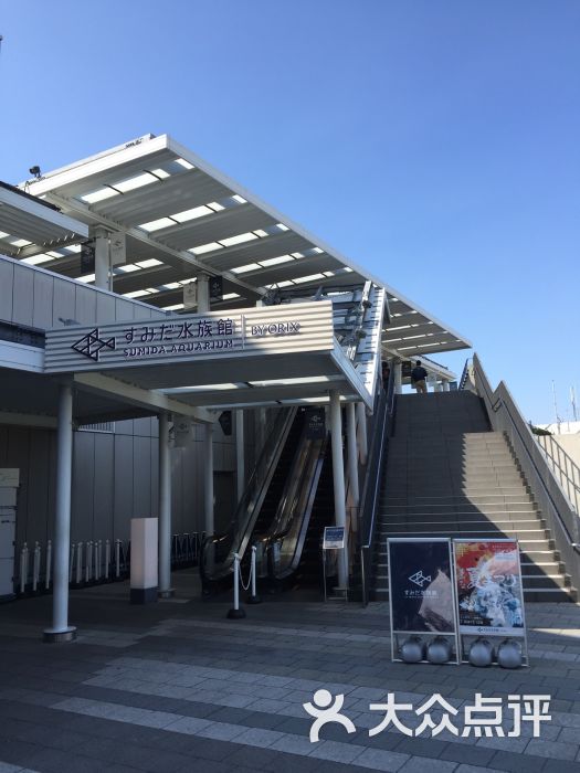 墨田水族馆图片 - 第18张