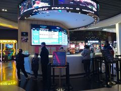 -奥斯卡升龙国际影城(RealD Cinema)