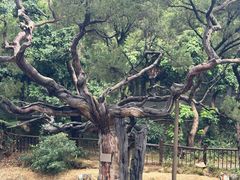 -草庵摩尼教遗址公园