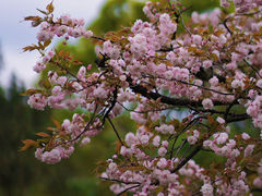 -贵阳市花溪国家城市湿地公园
