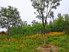 -东郊湿地公园