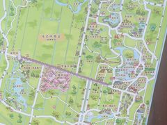 -东平国家森林公园
