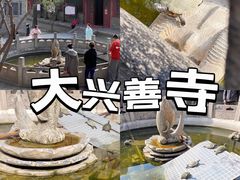 -西安大兴善寺