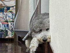 -沏点Trattoria意大利餐厅(新街口店)