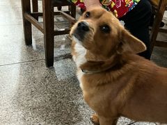 -明升萝卜汤