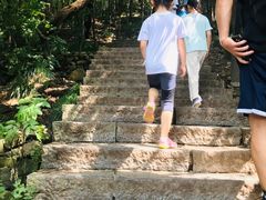 -紫金山山顶公园