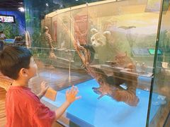 -陕西自然博物馆