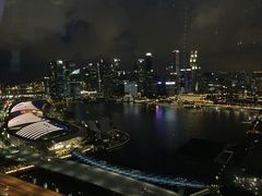 -新加坡摩天观景轮