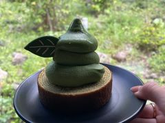 -雪绿茶博物馆