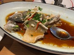 葱油鲈鱼-新白鹿餐厅(城西银泰城店)