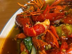 -杨氏青龙虾·羊蝎子(托乐嘉店)