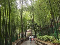 -灵岩山风景区