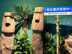 -重庆欢乐海底世界