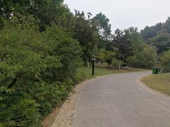 -习家池