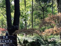 -汇龙潭