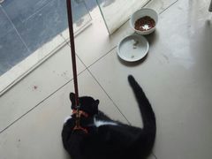 -艾加柒克蛋糕茶歇甜品台(春熙路店)