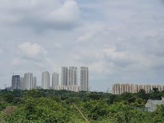 -维乐口腔医院(星海湾分院)