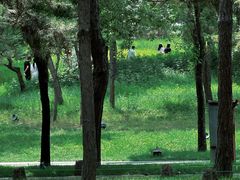 -承德避暑山庄景区