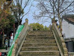 -鲁镇