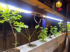 -望京一号·重庆江湖菜(工体店)