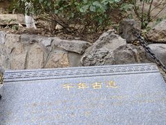 -佛慧山