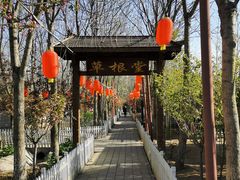 -草根堂农场