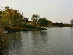 -上海长兴岛郊野公园