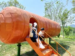 -西部长青自然儿童乐园