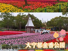 -大宁公园