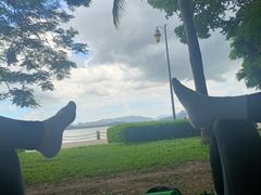 -深圳湾公园(南山区)