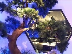 -绿茶餐厅(成都大悦城店)