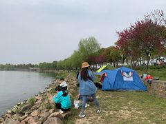 -漕湖湿地公园