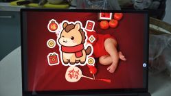 -玛瑞莎孕婴童摄影到家拍