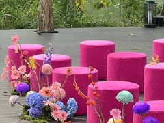 -怪咖·joker陈楠