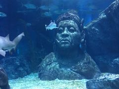 -暹罗海洋世界