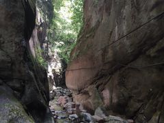 -黑河国家森林公园