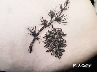 松果是松树的果穗，松子的屋子，因长的象宝塔所以俗称“