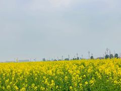 -中国天府农业博览园