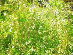 -浙江农林大学(东湖校区)