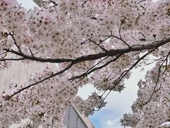 -龙美术馆(西岸馆)
