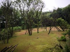 -西湖风景区-江洋畈生态公园