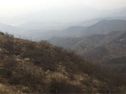 iphone_upload_pic-窦王岭景区游乐场