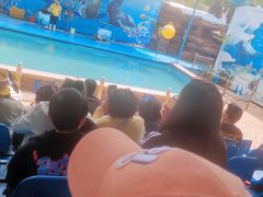 -荆州中山公园动物园