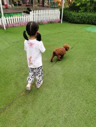 -萌宠亲子动物乐园(槐房万达店)