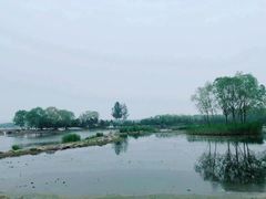 -大兴滨河森林公园